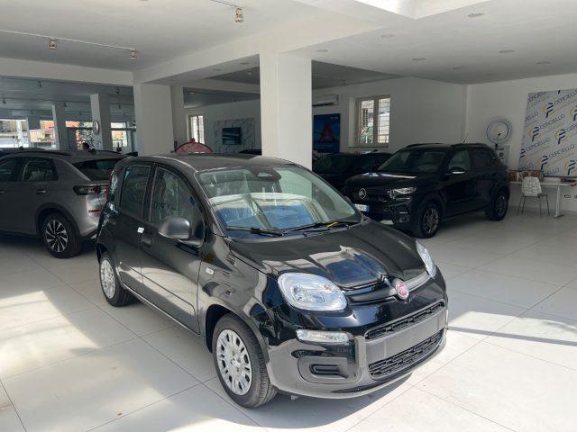 FIAT Panda 1.0 FireFly S&S Hybrid Icon tua da ?149,,00