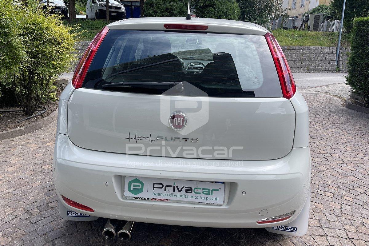 FIAT Punto 1.2 8V 5 porte Lounge