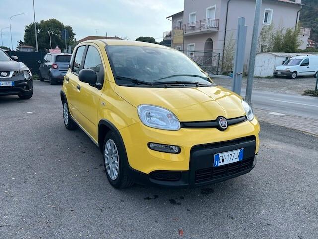 Fiat Panda 1.0 FireFly S&S Hybrid Pandina