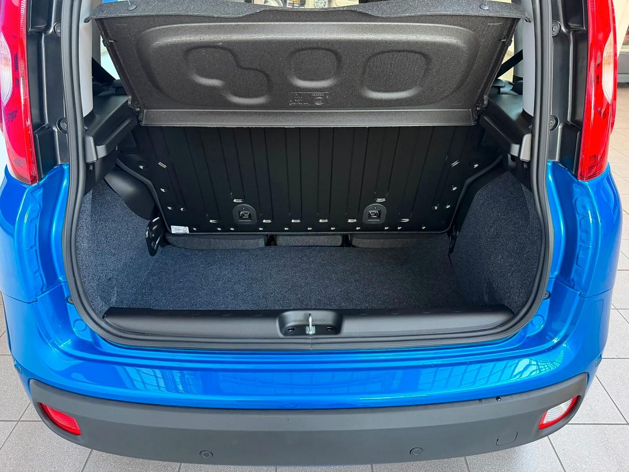 Fiat Panda 1.0 FireFly S&S Hybrid Icon