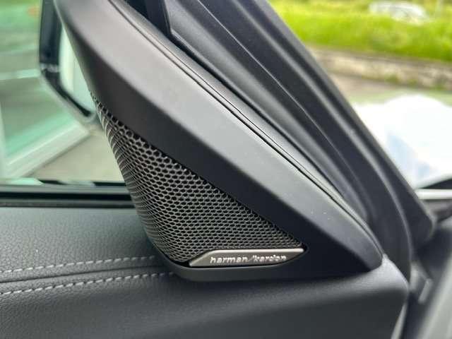 BMW Z4 Z4 sdrive 30i Msport auto