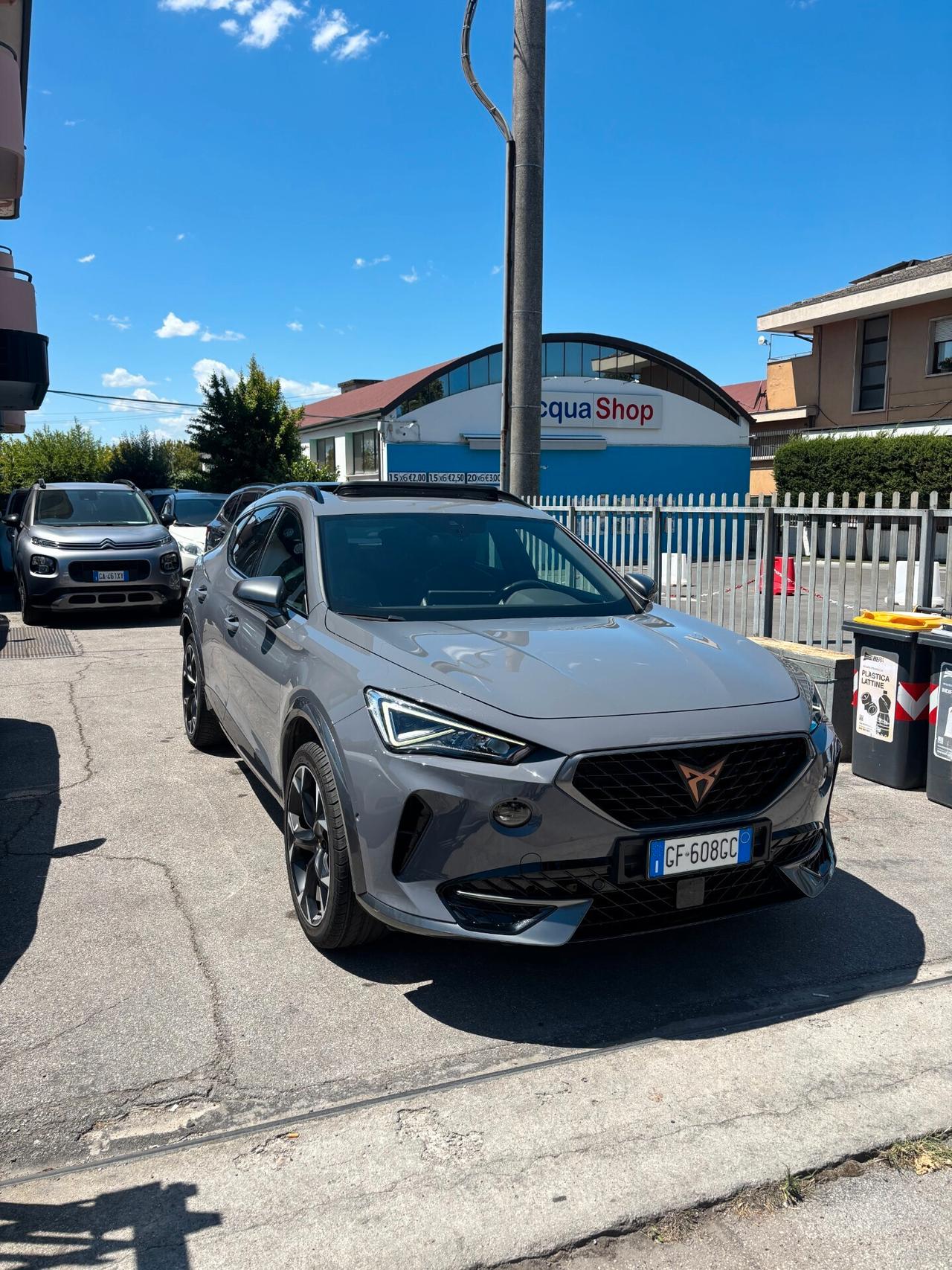 Cupra Formentor 2.0 TSI 4Drive DSG NESSUN VINCOLO