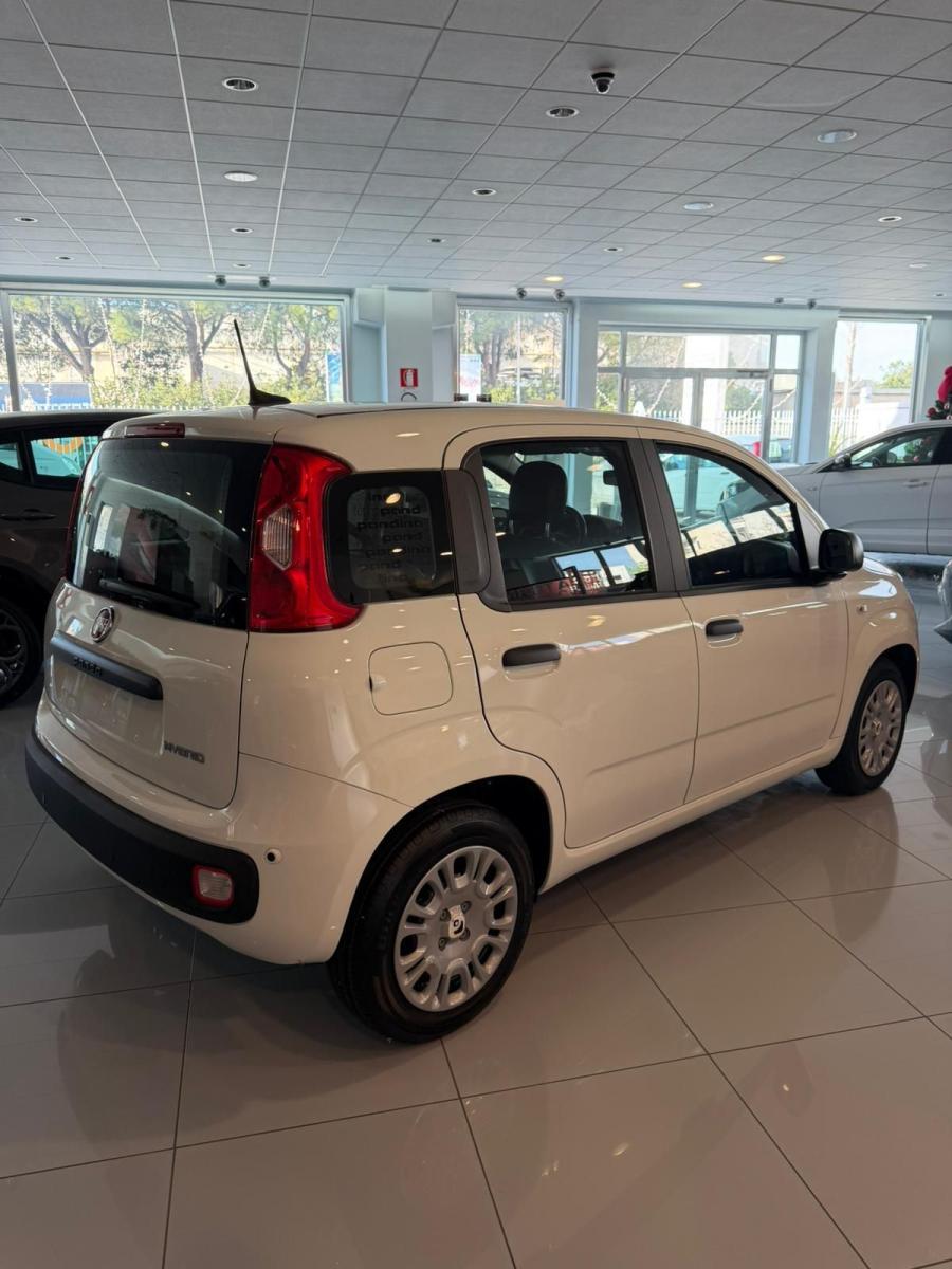 FIAT - Panda - 1.0 FireFly S&S Hybrid Pandina