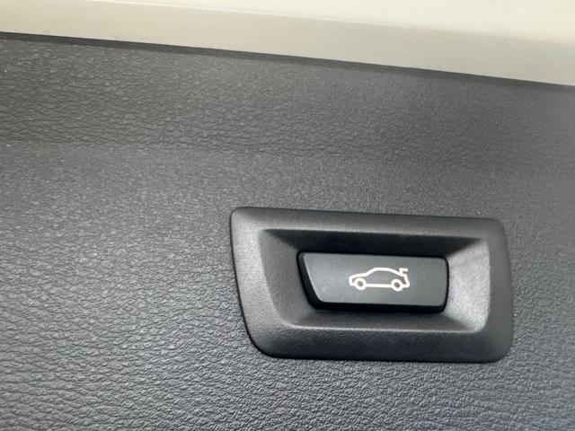 BMW X1 xDrive25e Business Advantage