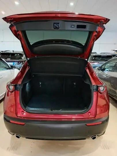 Mazda CX-30 2.0 M Hybrid 2WD Executive