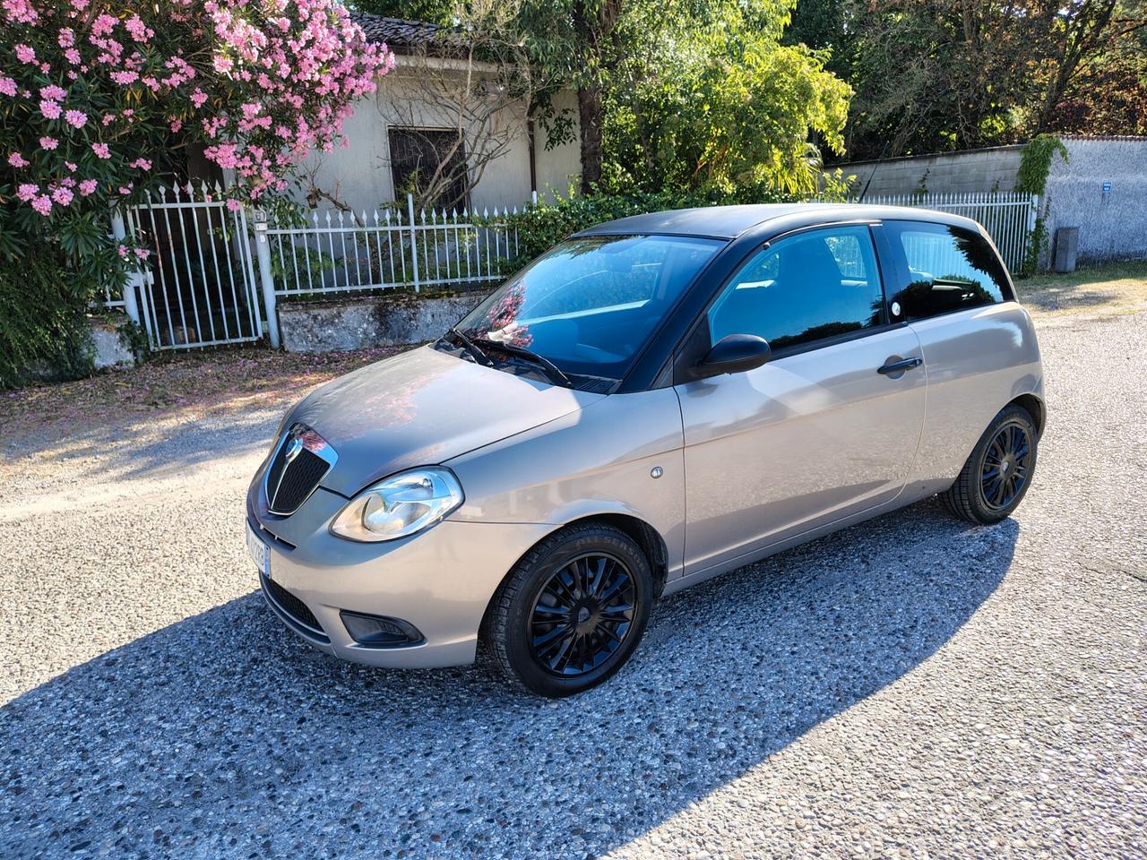 Lancia Ypsilon 1.4 Platino Ecochic GPL MODAMILANO