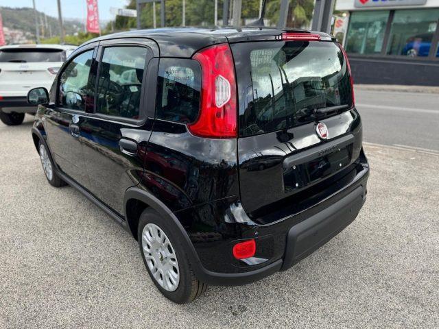 FIAT Panda 1.0 FireFly S&S Hybrid Pandina con ADAS