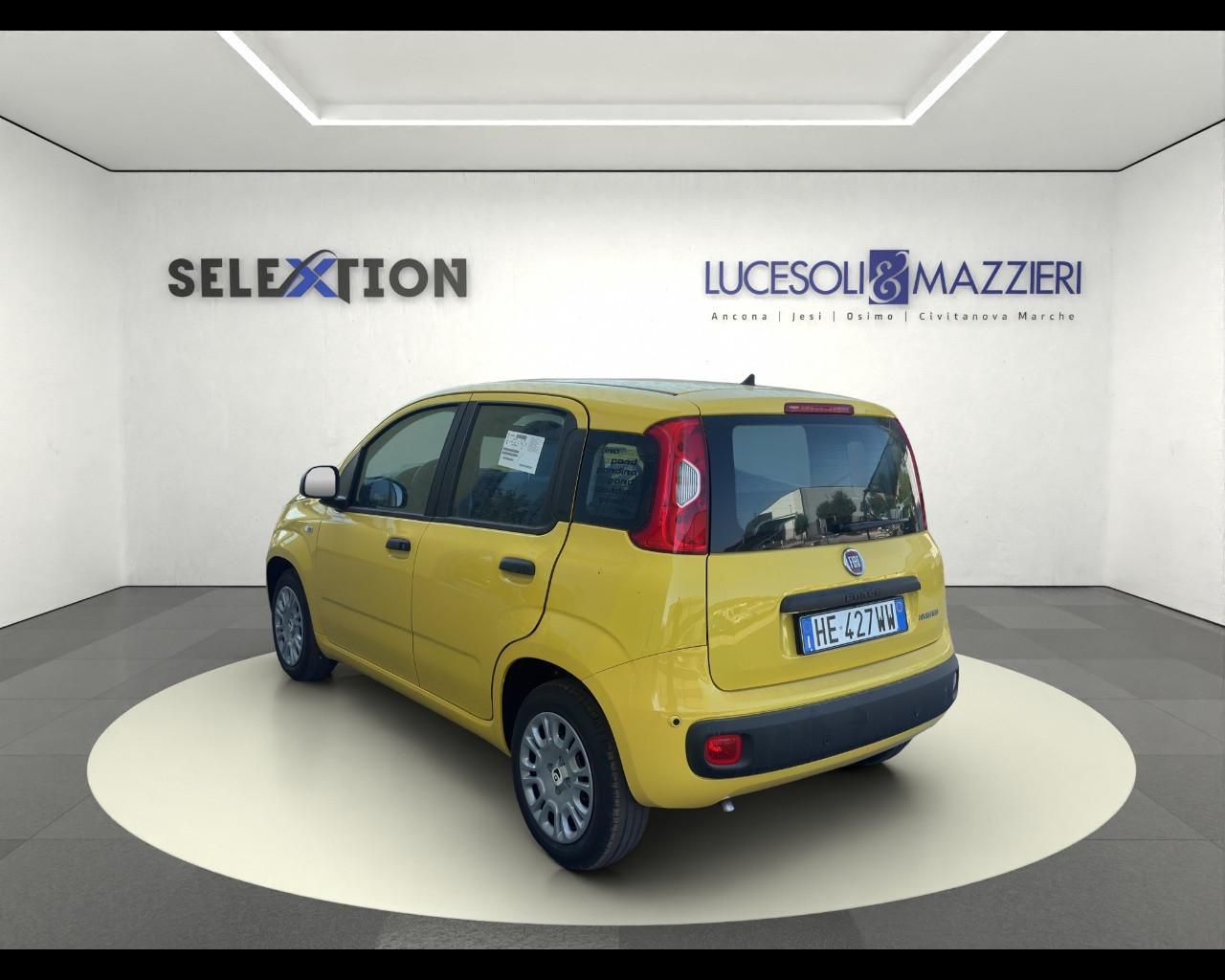 FIAT Pandina - Pandina 1.0 FireFly 65 CV Hybrid Pop