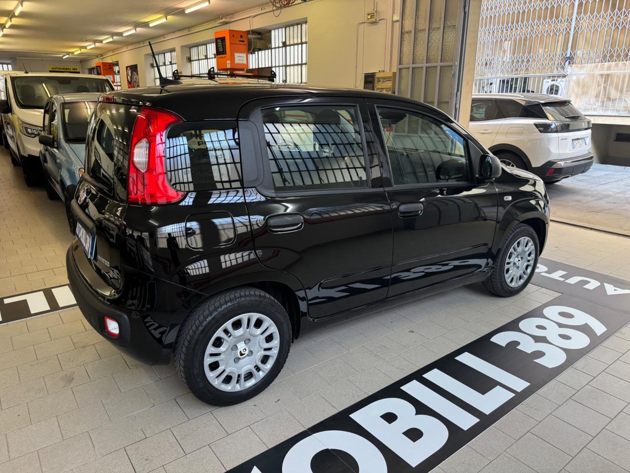 Fiat Panda Pandina 1.0 FireFly 65 CV Hybrid Icon