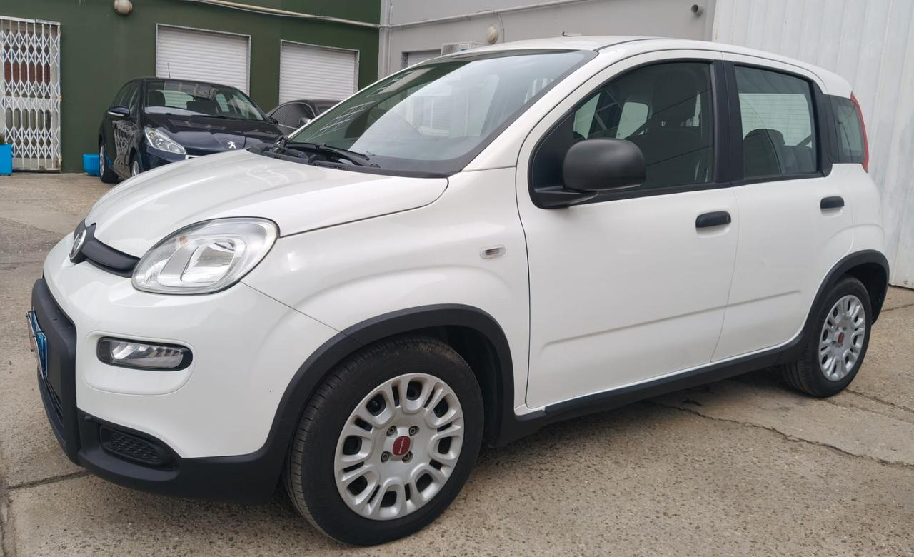 Fiat Panda 1.0 FireFly S&S Hybrid