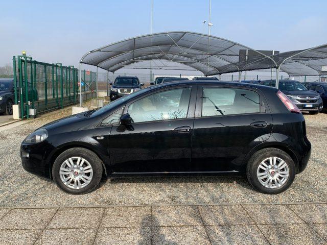 FIAT Punto 1.3 MJT II 75 CV 5 porte Street