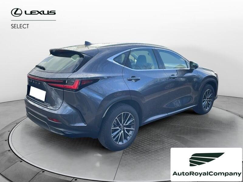 Lexus NX Hybrid Business+ 4WD IVA ESPOSTA KM 13900