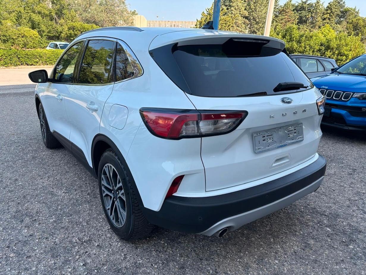 Ford Kuga 1.5 EcoBlue 120 CV aut. 2WD Titanium Business