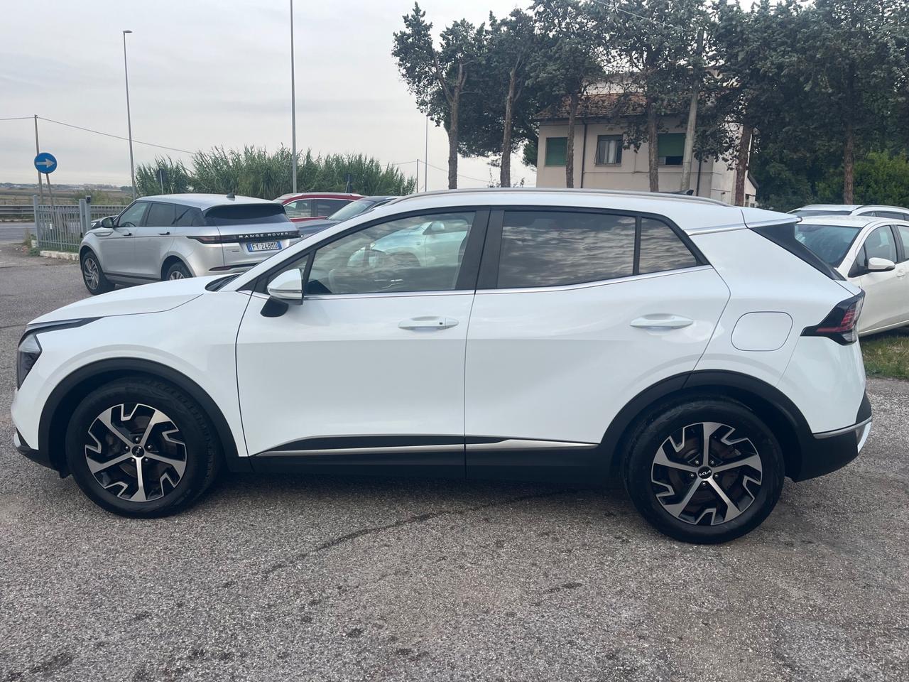 Kia Sportage 1.6 CRDI 136 CV 2WD Mild Hybrid Business Class