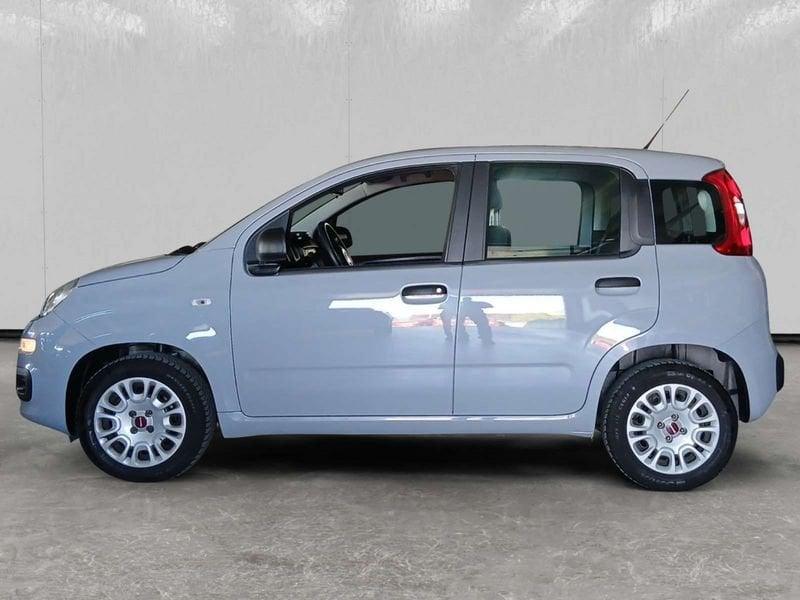 FIAT Panda 1.2 Lounge s&s 69cv my19