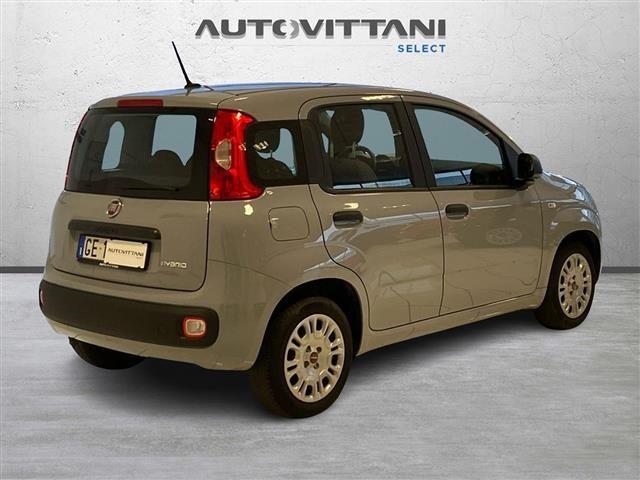 FIAT Panda 1.0 FireFly Hybrid 70cv City Life S&S