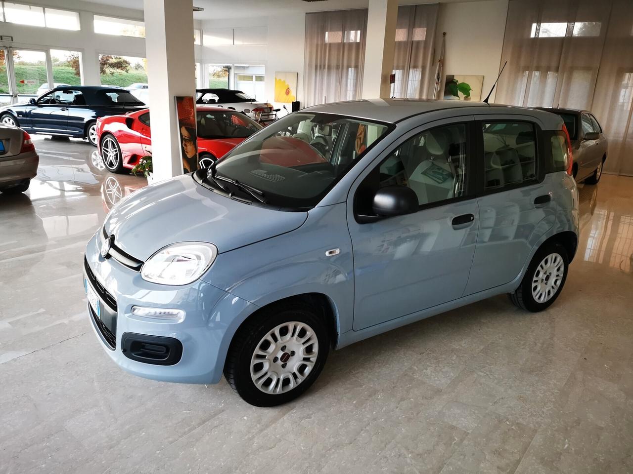 Fiat Panda 1.2 SOLO 75.000 KM CERTIFICATI