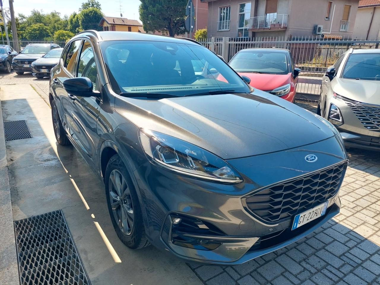 Ford Kuga 2.0 EcoBlue 120 CV aut. 2WD ST-Line