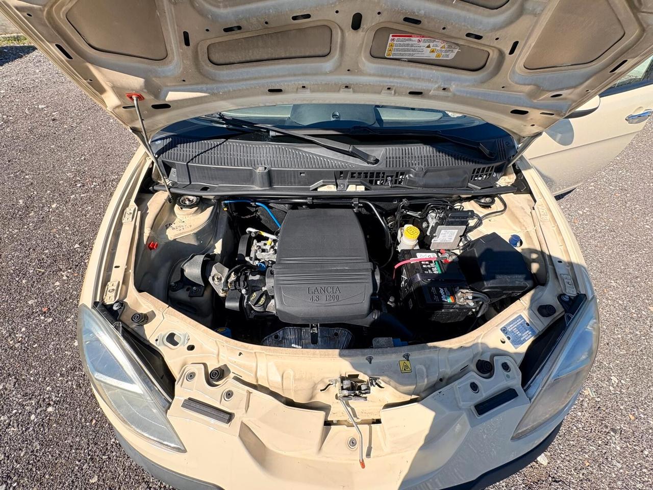 Lancia Ypsilon 1.2 Oro Giallo