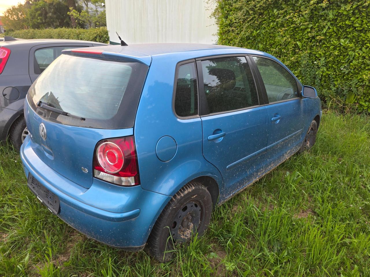 Fiat Punto Evo 1.3 Mjt 75 CV 5 porte Active