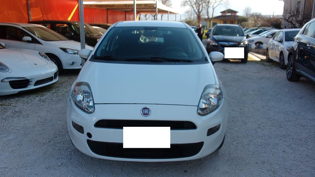 Fiat Punto 1.2 8V 5 porte Street
