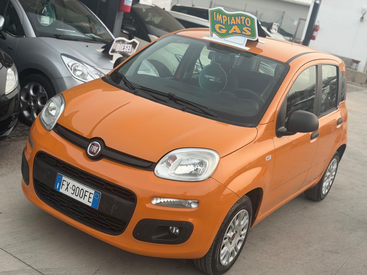 Fiat PANDA 1.2 GPL 2019 - NORD ITALIA