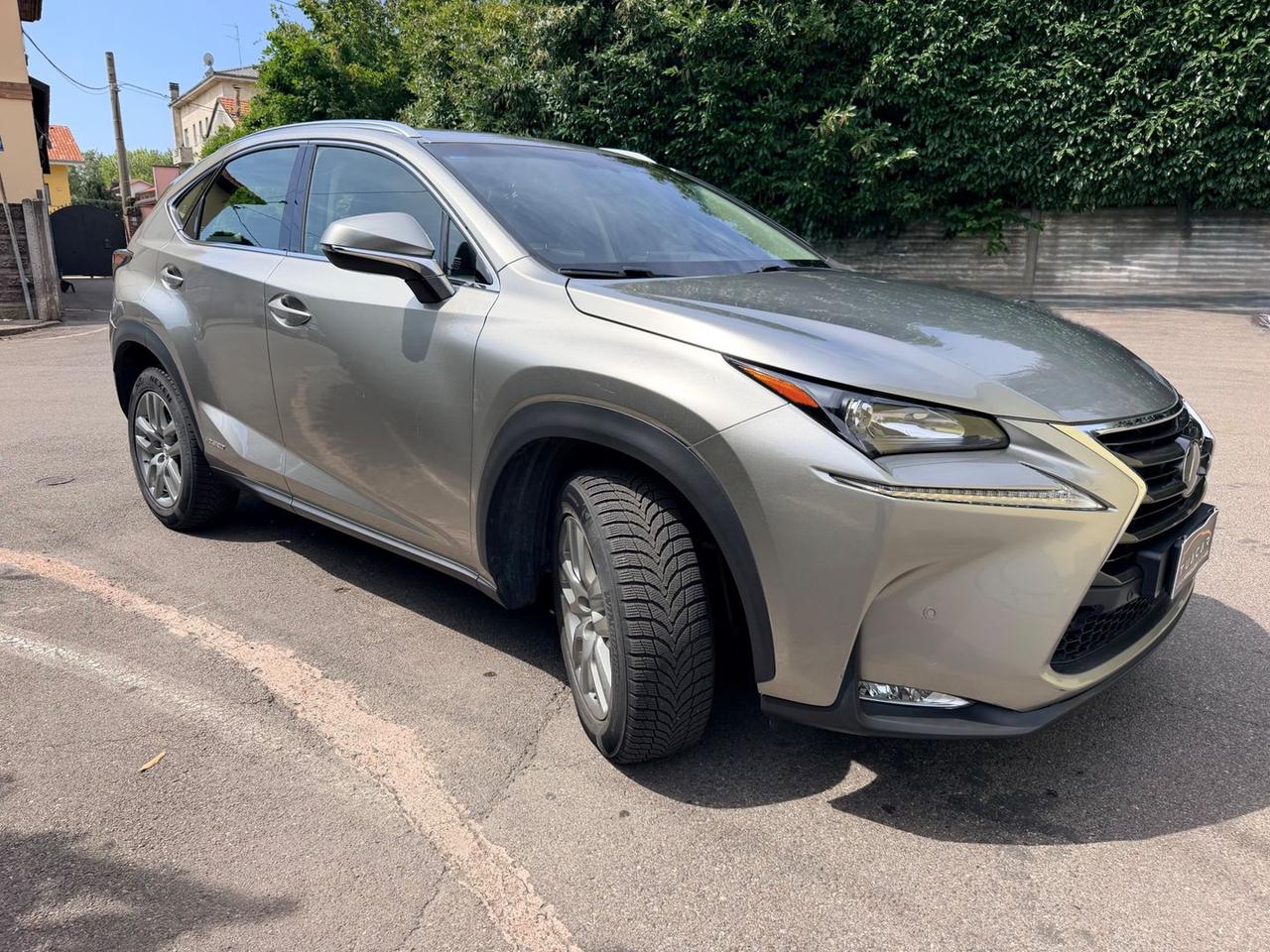 Lexus NX 300h Executive NX 300h HEV #11618