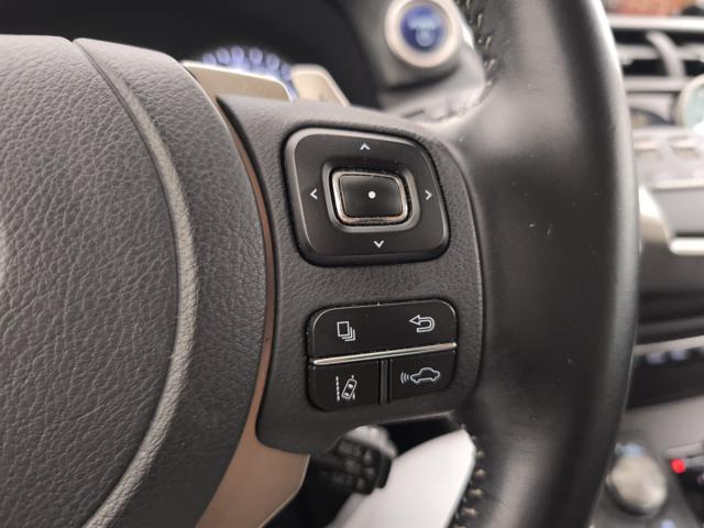 LEXUS NX 300h 300h 2.5 Business 2wd cvt