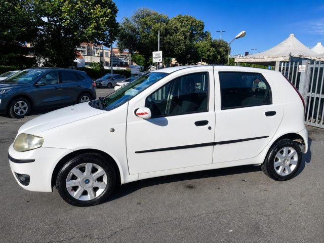 FIAT Punto 1.3 Multijet 16V 5 porte Dynamic Ok Neopatentati