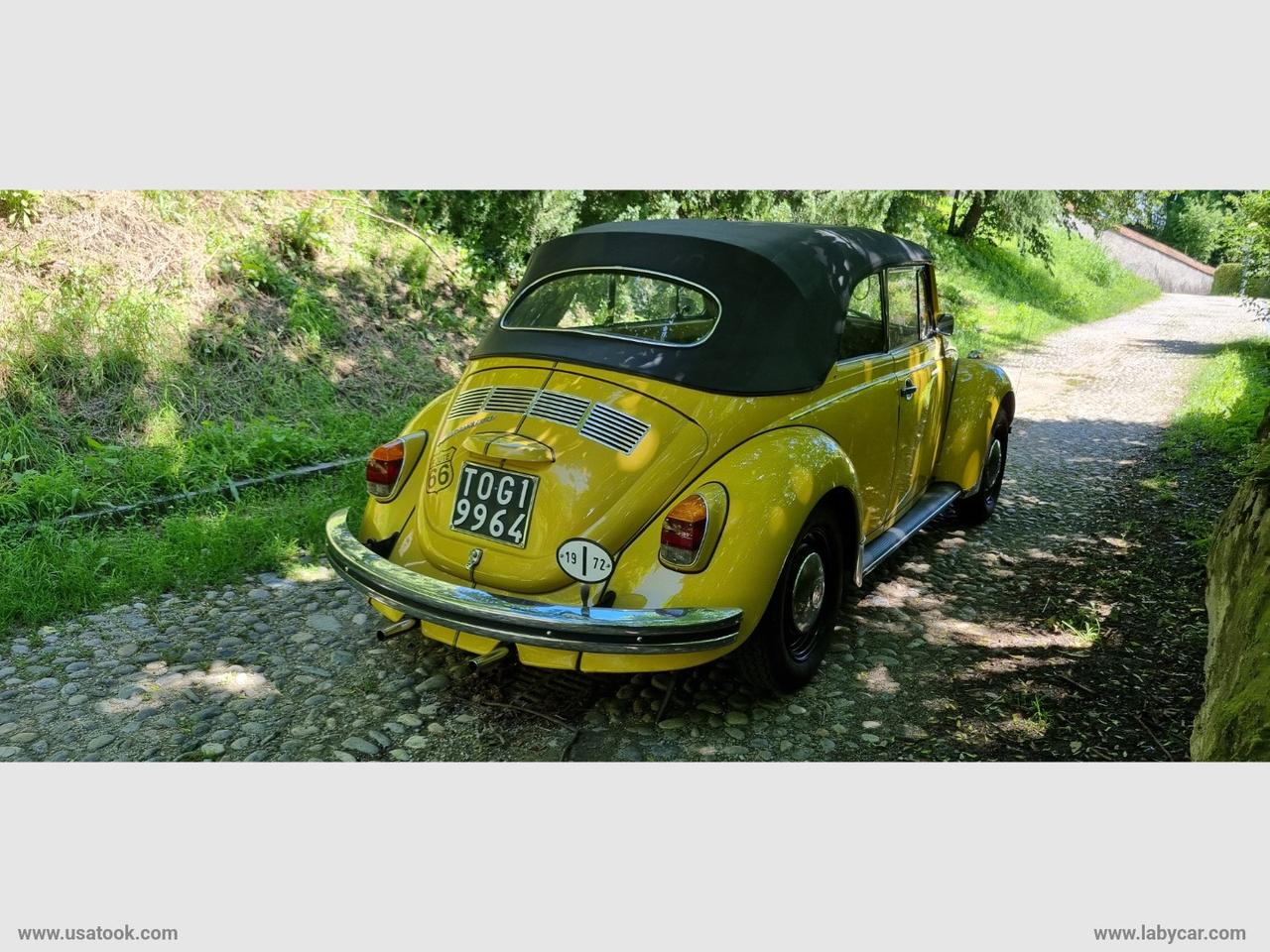 VOLKSWAGEN Maggiolino CABRIOLET VOLKWAGEN MAGGIOLINO CABRIOLET VETRO PIATTO