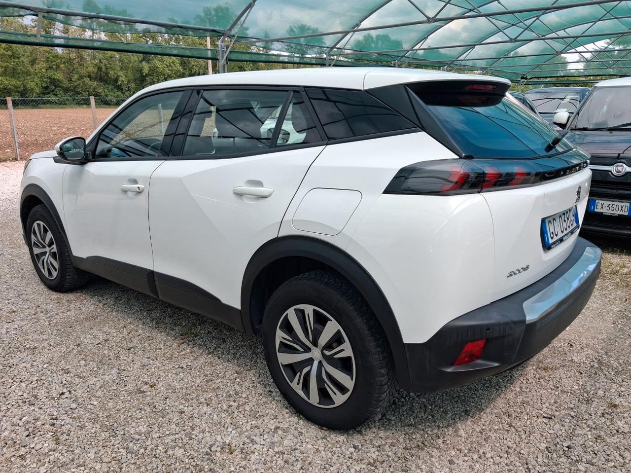 Peugeot 2008 2008 1.5 bluehdi Active s&s 100cv