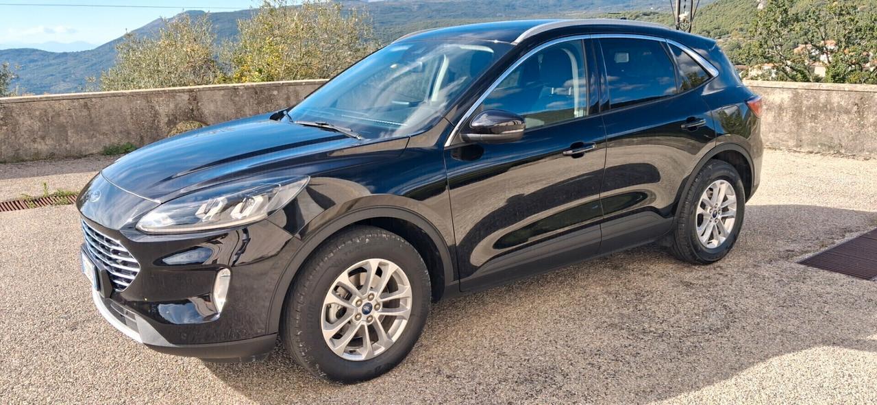 Ford Kuga 1.5 EcoBlue 120 CV 2WD Titanium