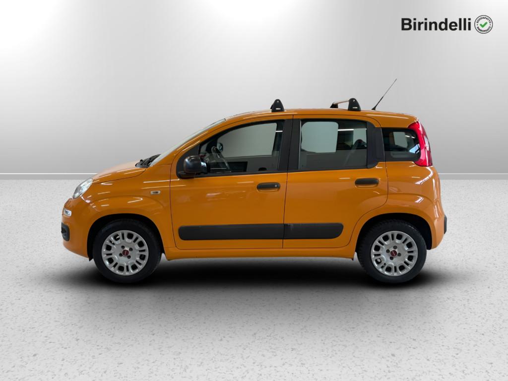 FIAT Panda 3ª serie - Panda 1.2 Easy