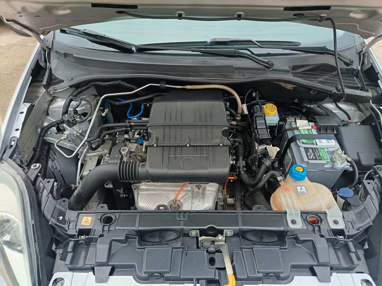 Fiat Punto 1.4 8V 5 porte Natural Power Young