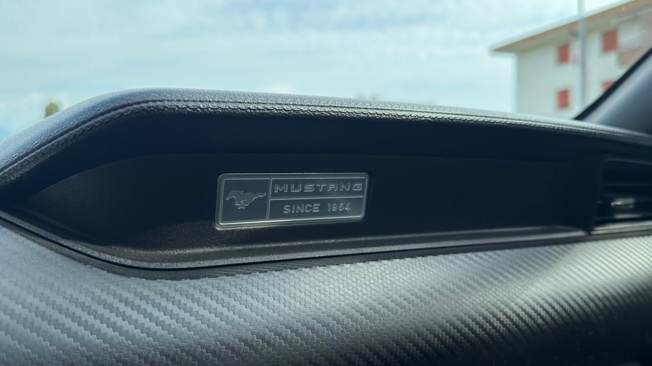 Ford Mustang America