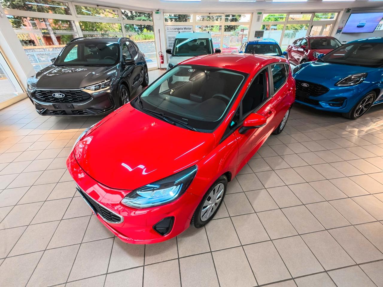 Ford Fiesta 1.1 75 CV GPL 5 porte Plus
