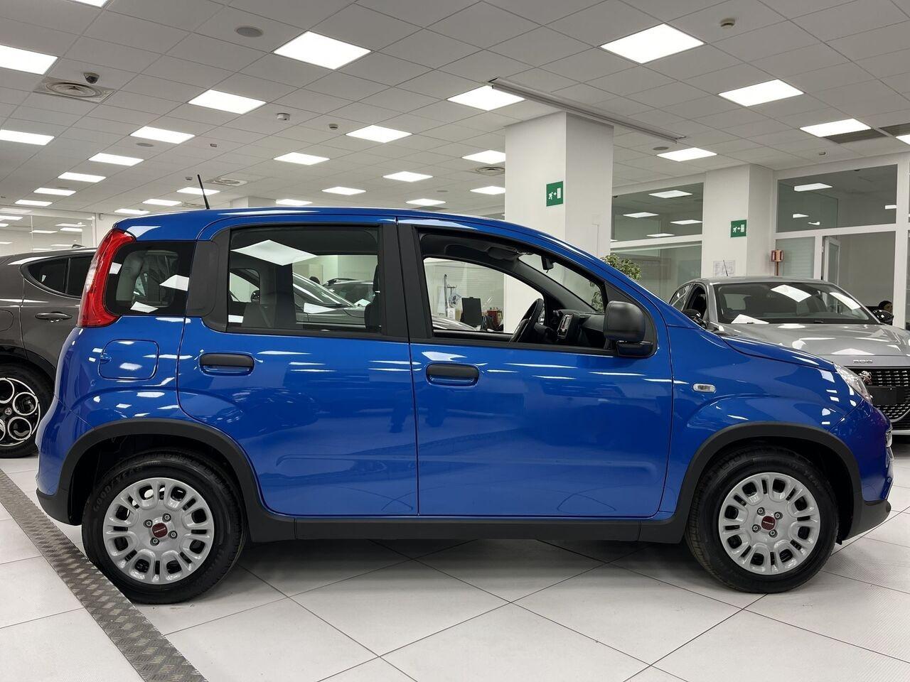 FIAT Panda III 2021 - Panda 1.0 firefly hybrid s&s 70cv