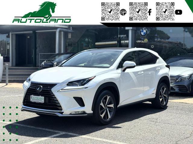 LEXUS NX 300 Hybrid 4WD Executive 155 CV