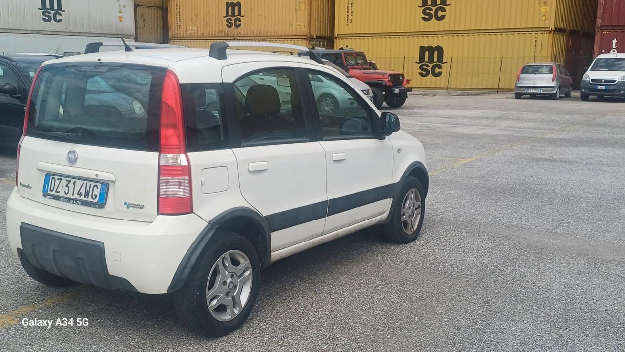 Fiat Panda 1.2 Climbing Natural Power