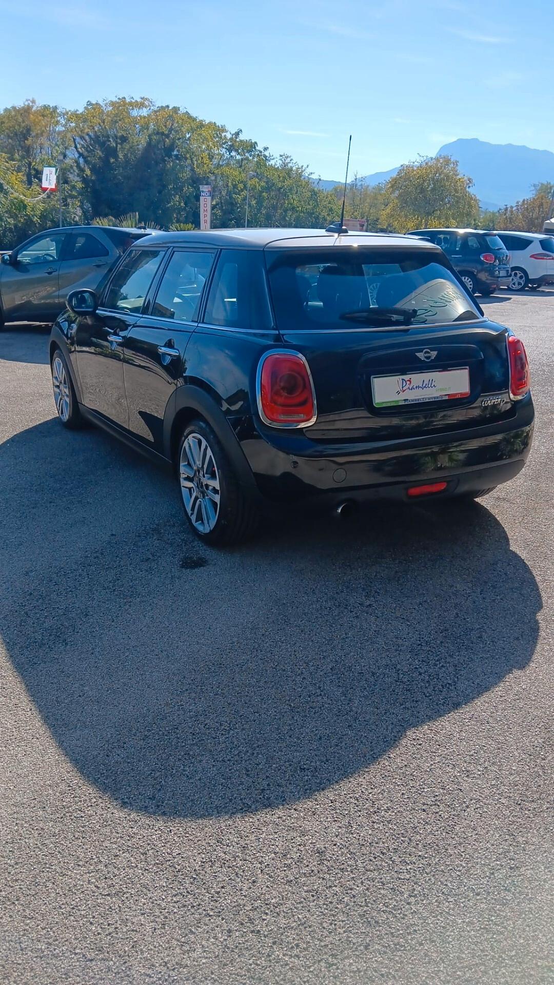 Mini 1.5 One D Hype