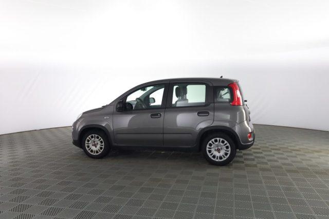 FIAT Panda Panda 1.0 FireFly Hybrid