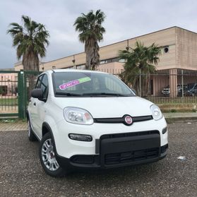 Fiat Panda Panda 1.0 firefly hybrid s