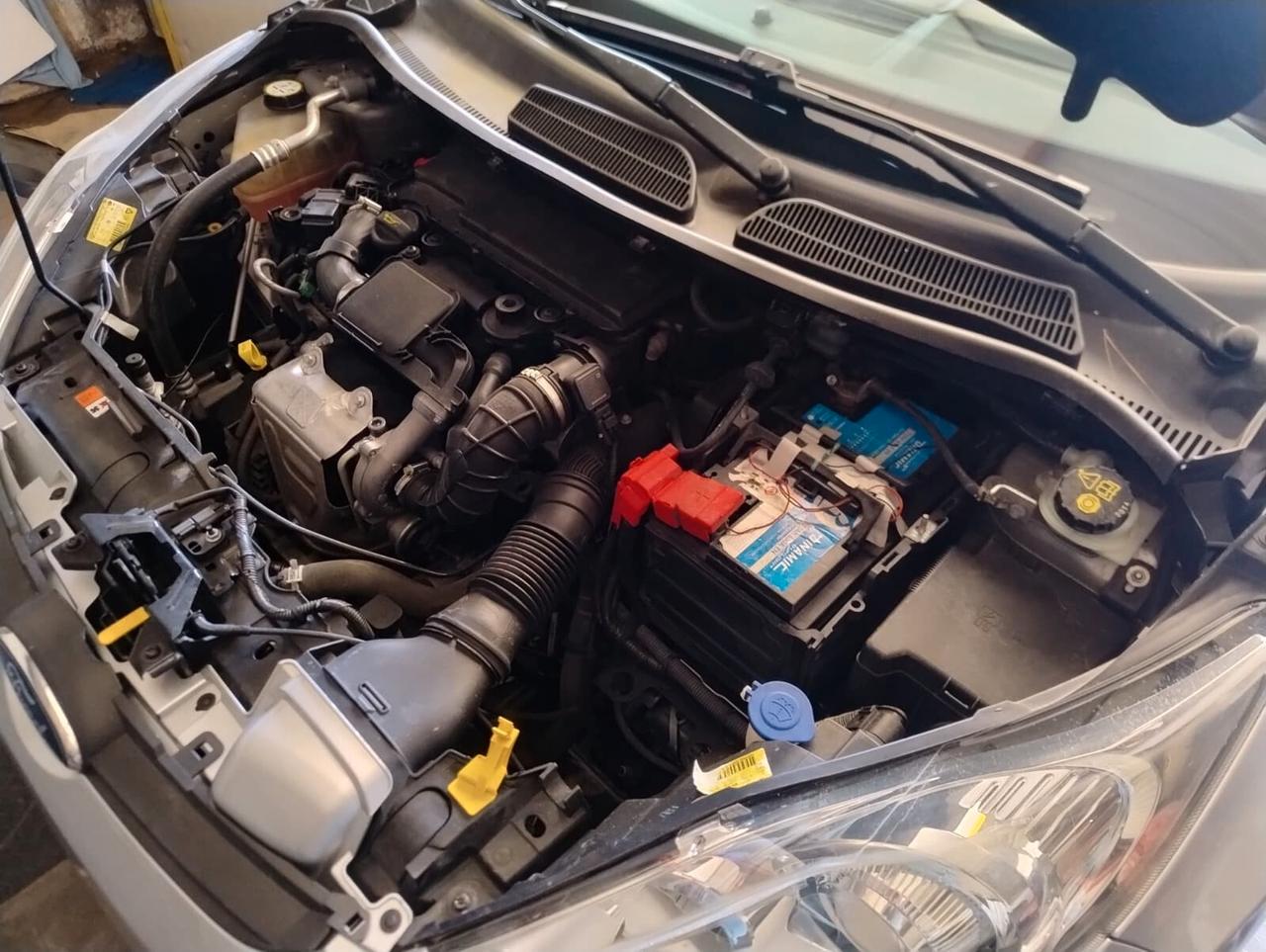 Ford Fiesta 1.4 TDCi 68CV 5 porte Titanium