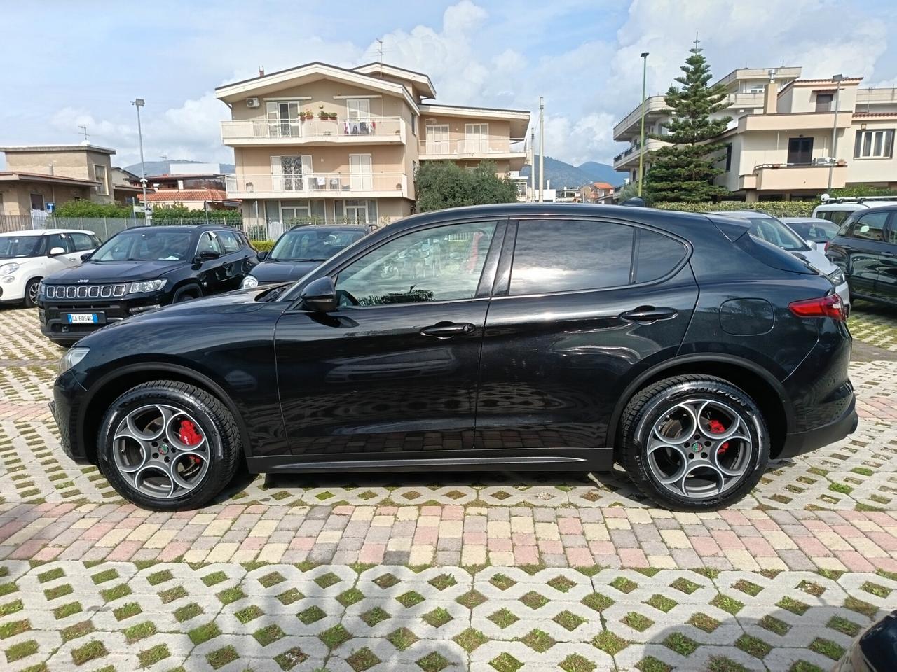 Alfa Romeo Stelvio 2.2 Turbodiesel 210 CV AT8 Q4 Executive palette al volante