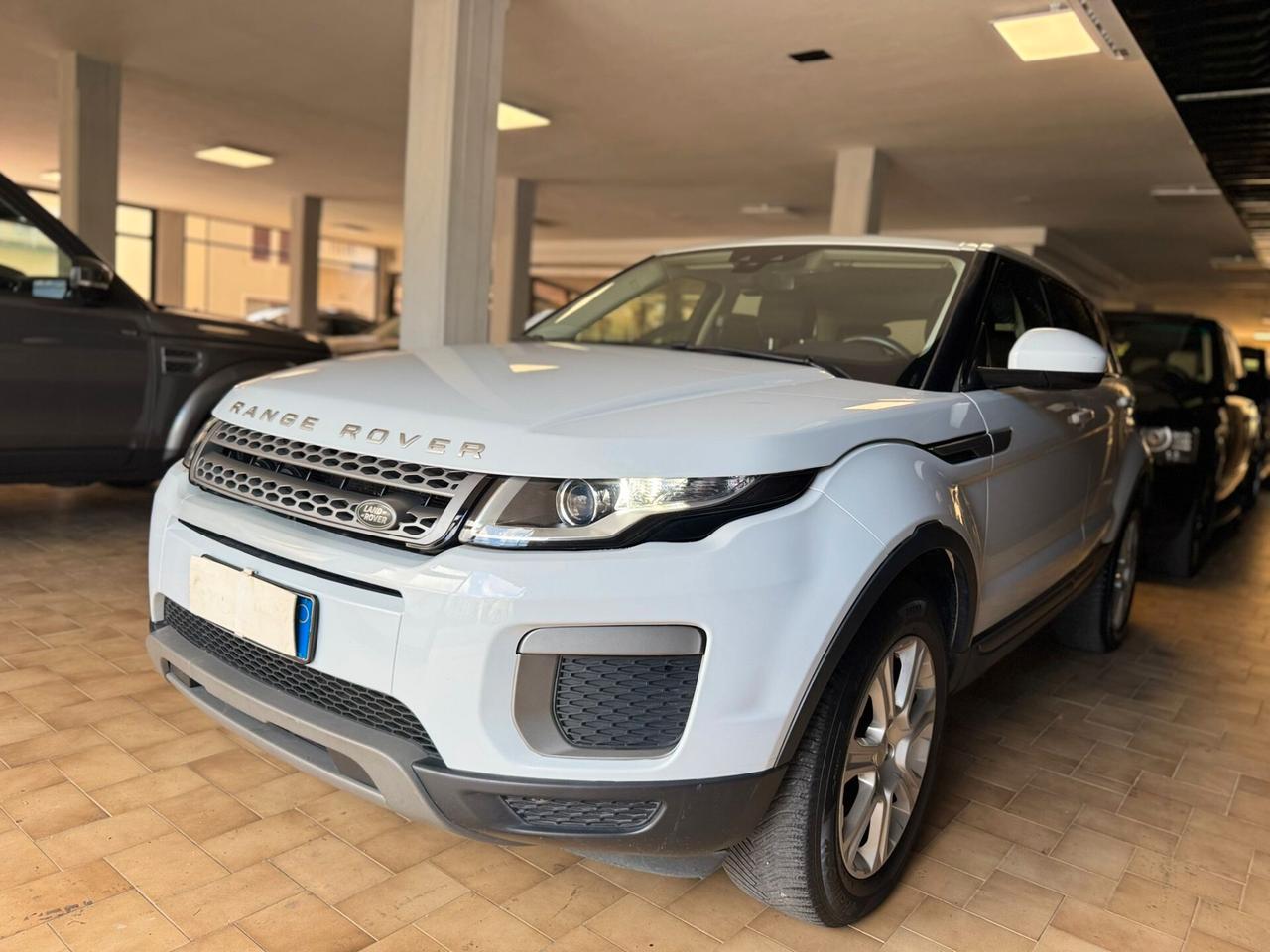 Land Rover Range Evoque 2.0 TD4 150 CV 5p. Business Edition Pure
