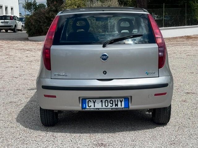 Fiat Punto 1.2 5 porte Active Natural Power