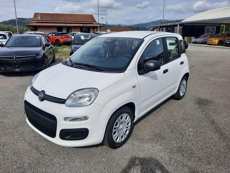 FIAT Pandina PANDA MY26 1.0 65CV HYBRID ICON