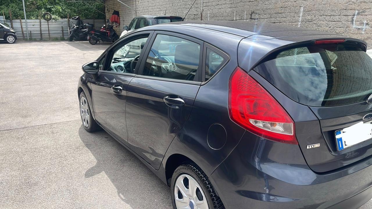 Ford Fiesta 1.4 TDCi / GARANZIA 12 MESI