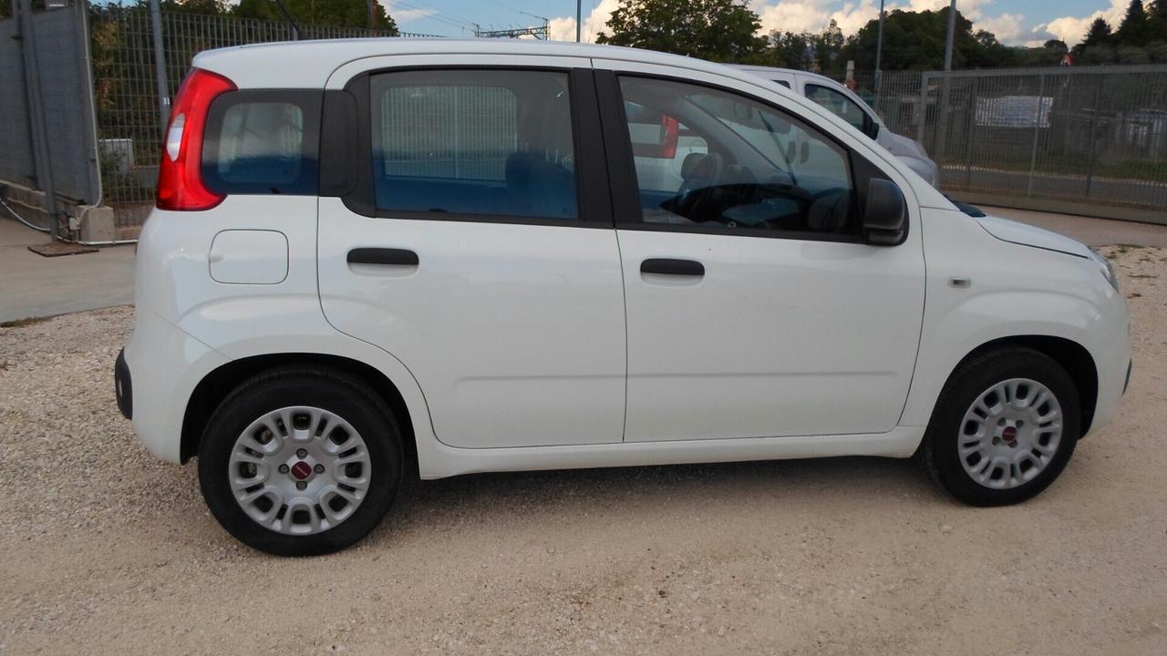 Fiat Panda 1.2 Trussardi