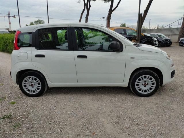 FIAT Panda 1.2 Easy GPL CLIMATIZZATORE OK NEOPATENTATI ..